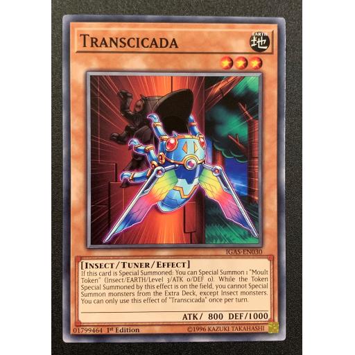 Transcicada IGAS-EN030 - 1st Edition