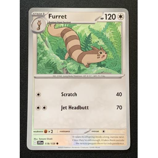 Furret 119/159 - Common