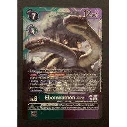 EX5-041.jpg